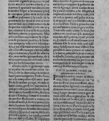 Commentarios reales(1609) document 439464