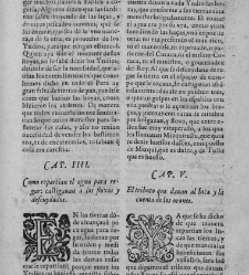 Commentarios reales(1609) document 439652
