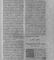 Commentarios reales(1609) document 439870