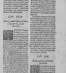 Commentarios reales(1609) document 439934