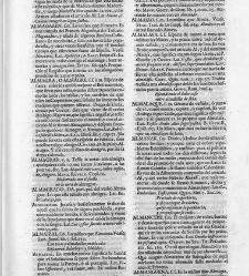 Diccionario de la lengua castellana, en que se explica el verdadero sentido de las voces, su naturaleza y calidad, con las phrases o modos de hablar […] Tomo primero. Que contiene las letras A.B.(1726) document 444808