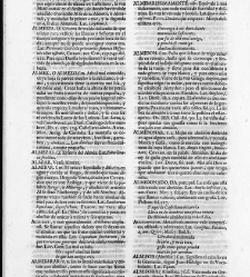 Diccionario de la lengua castellana, en que se explica el verdadero sentido de las voces, su naturaleza y calidad, con las phrases o modos de hablar […] Tomo primero. Que contiene las letras A.B.(1726) document 444813