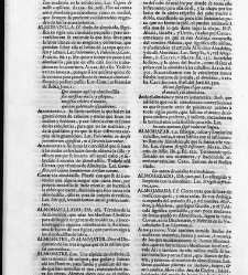 Diccionario de la lengua castellana, en que se explica el verdadero sentido de las voces, su naturaleza y calidad, con las phrases o modos de hablar […] Tomo primero. Que contiene las letras A.B.(1726) document 444817