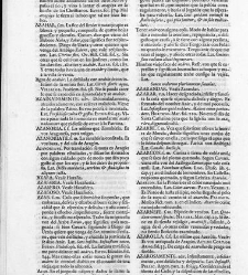 Diccionario de la lengua castellana, en que se explica el verdadero sentido de las voces, su naturaleza y calidad, con las phrases o modos de hablar [&hellip;] Tomo primero. Que contiene las letras A.B.(1726) document 445097