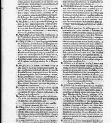 Diccionario de la lengua castellana, en que se explica el verdadero sentido de las voces, su naturaleza y calidad, con las phrases o modos de hablar […] Tomo primero. Que contiene las letras A.B.(1726) document 445203