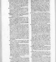 Diccionario de la lengua castellana, en que se explica el verdadero sentido de las voces, su naturaleza y calidad, con las phrases o modos de hablar […] Tomo segundo. Que contiene la letra C.(1729) document 445359