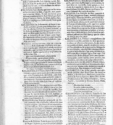 Diccionario de la lengua castellana, en que se explica el verdadero sentido de las voces, su naturaleza y calidad, con las phrases o modos de hablar […] Tomo segundo. Que contiene la letra C.(1729) document 445373