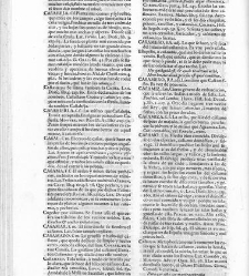 Diccionario de la lengua castellana, en que se explica el verdadero sentido de las voces, su naturaleza y calidad, con las phrases o modos de hablar […] Tomo segundo. Que contiene la letra C.(1729) document 445447