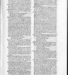 Diccionario de la lengua castellana, en que se explica el verdadero sentido de las voces, su naturaleza y calidad, con las phrases o modos de hablar […] Tomo segundo. Que contiene la letra C.(1729) document 445470