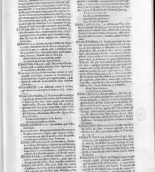 Diccionario de la lengua castellana, en que se explica el verdadero sentido de las voces, su naturaleza y calidad, con las phrases o modos de hablar […] Tomo segundo. Que contiene la letra C.(1729) document 445616