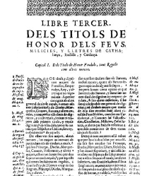 Summari, index o Epitome dels admirables y nobilissims titols de honor de Cathalunya, Rossello y Cerdanya y de les gracies, privilegis, perrogatiues, preheminencies, llibertats e immunitats gosan segons les propies y naturals lleys... -(1628) document 543719