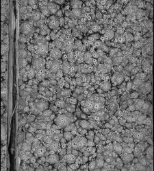 Recortado afectando a sign. y reclamos -- Enc. piel gofrada con hierros dorados Parte I (1652)(1652) document 556711