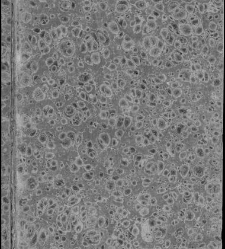 Segundo tomo de las comedias, Madrid, Imprenta del Reino - Alonso Perez , 1638(1638) document 574792