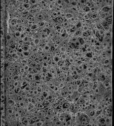 Comedias de Don Antonio de Solis, Madrid, Melchor &Aacute;lvarez/Justo Antonio de Logro&ntilde;o, 1681(1681) document 576629