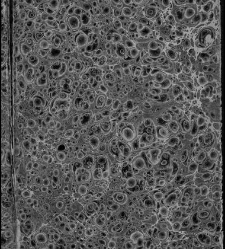 Enc. pasta -- La primera comedia, excepto las h. 11 a 14, es de otra composici&oacute;n tipogr&aacute;fica y, en h. 1 no consta ""Dedicala &agrave; la Hermandad del Glorioso Santo. Represent&ograve;la Escamilla a&ntilde;o de 1678"" Parte XLVI (1679)(1679) document 583979