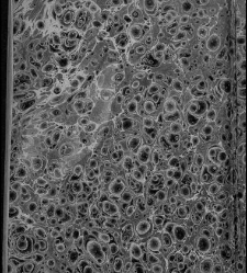 Enc. pasta -- La primera comedia, excepto las h. 11 a 14, es de otra composici&oacute;n tipogr&aacute;fica y, en h. 1 no consta ""Dedicala &agrave; la Hermandad del Glorioso Santo. Represent&ograve;la Escamilla a&ntilde;o de 1678"" Parte XLVI (1679)(1679) document 584506