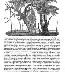 La Mosaïque (Paris. 1833)(1834) document 133948