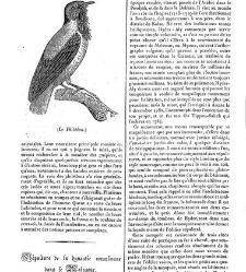 La Mosaïque (Paris. 1833)(1834) document 134059