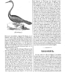 La Mosaïque (Paris. 1833)(1834) document 134171