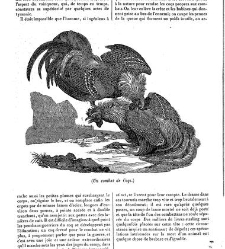 La Mosaïque (Paris. 1833)(1834) document 134303