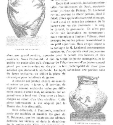 La Grande dame. Revue de l'&eacute;l&eacute;gance et des arts(1894) document 142371
