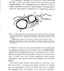 Archives d'anatomie microscopique et de morphologie exp&eacute;rimentale(1933.04) document 143150