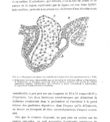 Archives d'anatomie microscopique et de morphologie exp&eacute;rimentale(1933.04) document 143153