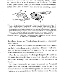Archives d'anatomie microscopique et de morphologie exp&eacute;rimentale(1933.04) document 143158