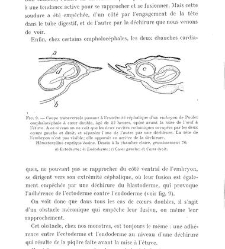 Archives d'anatomie microscopique et de morphologie exp&eacute;rimentale(1933.04) document 143159