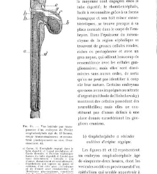 Archives d'anatomie microscopique et de morphologie exp&eacute;rimentale(1933.04) document 143195