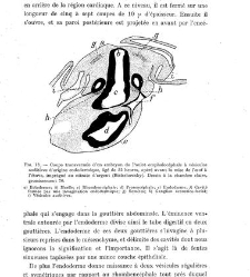 Archives d'anatomie microscopique et de morphologie exp&eacute;rimentale(1933.04) document 143198
