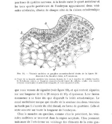 Archives d'anatomie microscopique et de morphologie exp&eacute;rimentale(1933.04) document 143203