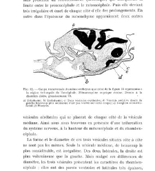 Archives d'anatomie microscopique et de morphologie exp&eacute;rimentale(1933.04) document 143219