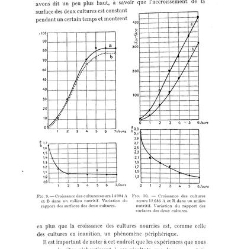 Archives d'anatomie microscopique et de morphologie exp&eacute;rimentale(1933.04) document 143253