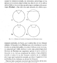 Archives d'anatomie microscopique et de morphologie exp&eacute;rimentale(1933.04) document 143262