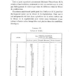 Archives d'anatomie microscopique et de morphologie exp&eacute;rimentale(1933.04) document 143265