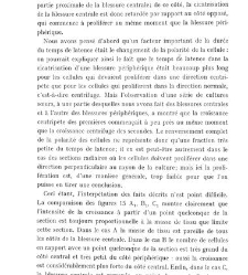 Archives d'anatomie microscopique et de morphologie exp&eacute;rimentale(1933.04) document 143269