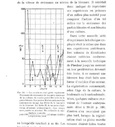 Archives d'anatomie microscopique et de morphologie exp&eacute;rimentale(1933.04) document 143273