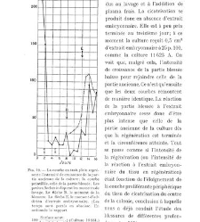 Archives d'anatomie microscopique et de morphologie exp&eacute;rimentale(1933.04) document 143275