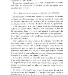 Archives d'anatomie microscopique et de morphologie exp&eacute;rimentale(1933.04) document 143279