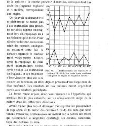 Archives d'anatomie microscopique et de morphologie exp&eacute;rimentale(1933.04) document 143282
