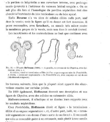 Archives d'anatomie microscopique et de morphologie exp&eacute;rimentale(1933.04) document 143304