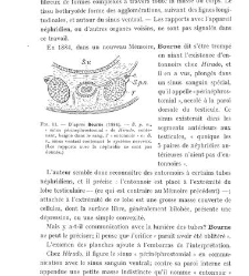 Archives d'anatomie microscopique et de morphologie exp&eacute;rimentale(1933.04) document 143305