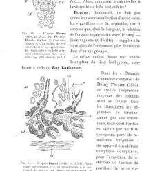 Archives d'anatomie microscopique et de morphologie exp&eacute;rimentale(1933.04) document 143307