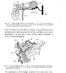 Archives d'anatomie microscopique et de morphologie exp&eacute;rimentale(1933.04) document 143310
