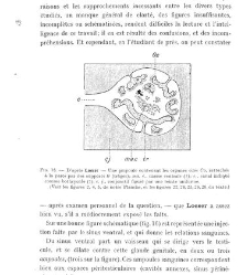 Archives d'anatomie microscopique et de morphologie exp&eacute;rimentale(1933.04) document 143311