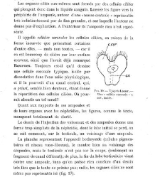 Archives d&apos;anatomie microscopique et de morphologie expérimentale(1933.04) document 143312