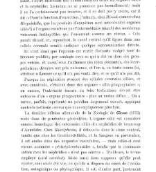 Archives d'anatomie microscopique et de morphologie exp&eacute;rimentale(1933.04) document 143313