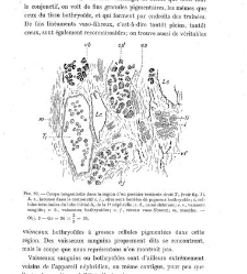 Archives d'anatomie microscopique et de morphologie exp&eacute;rimentale(1933.04) document 143316