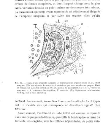 Archives d'anatomie microscopique et de morphologie exp&eacute;rimentale(1933.04) document 143319